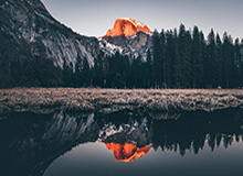 BSPORTS-美职联保留对苏亚雷斯与布斯克茨追加纪律处分的可能性